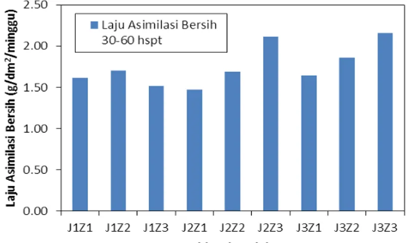 Gambar 2. Laju asimilasi bersih padi umur 30-60 hspt  Keterangan:  J1: kompos jerami 0 ton/ha  Z1: zeolit 0 kg/ha 