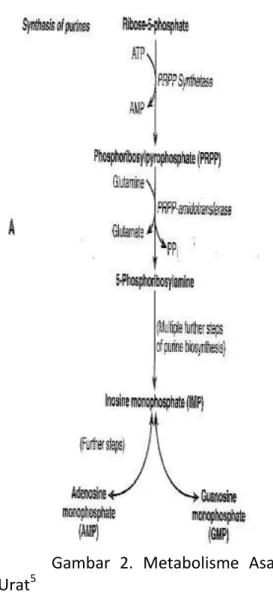 Gambar  2.  Metabolisme  Asam  Urat 5