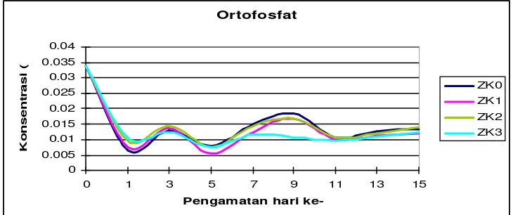 Gambar 7. Konsentrasi rata-rata ortofosfat selama penelitian 