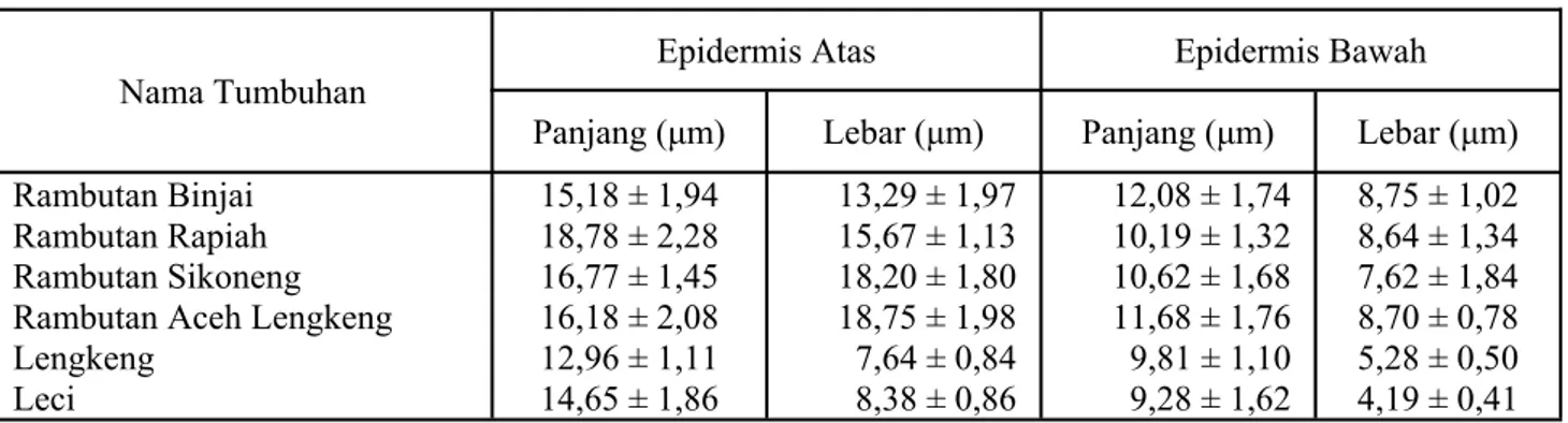 Tabel 2. Ukuran epidermis atas dan epidermis bawah pada daun rambutan dan kerabatnya  