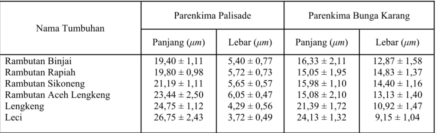 Tabel 3. Ukuran parenkima palisade dan parenkima bunga karang pada daun rambutan dan kerabatnya 