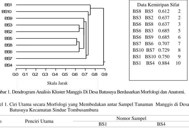 Tabel 1. Ciri Utama secara Morfologi yang Membedakan antar Sampel Tanaman  Manggis di Desa  Batusuya Kecamatan Sindue Tombusambura 