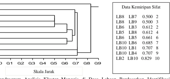 Gambar  2.  Dendrogram  Analisis  Kluster  Manggis  di  Desa  Labean  Berdasarkan  Identifikasi  Morfologi dan Anatomi