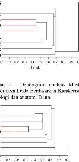 Gambar  1.    Dendogram  analisis  kluster  jeruk  di desa  Doda  Berdasarkan  Karakeristik  morfologi dan anatomi Daun
