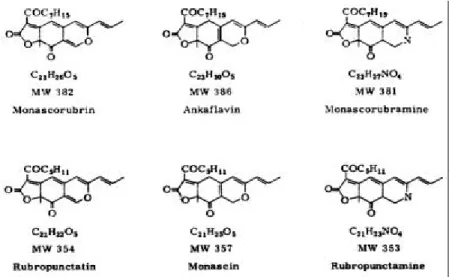 Gambar 1.  Struktur kimia pigmen poliketida dari Monascus (Schmitt and Blanc, 2001) 