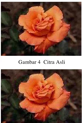 Gambar 4  Citra Asli 