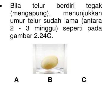 gambar 2.24C.  