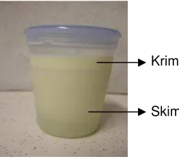 Gambar 2.33. Cream separator (www.cheesemaking.com) 