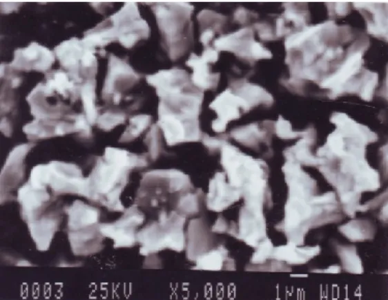 Gambar 4.  Mikrostruktur hasil oksidasi gagalan pelet sinter suhu 600 C, 1 jam 