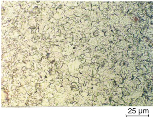 Gambar 1.  Mikrostruktur UO 2 +ZrO 2  dengan                         konsentrasi ZrO 2  0% 