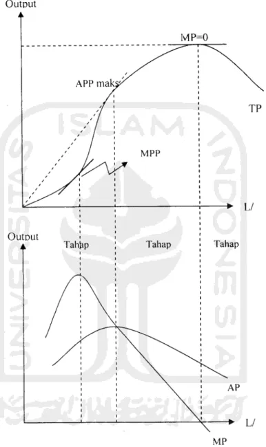 Gambar 4.1 Kurva Tahap Produksi