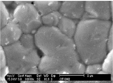 Gambar 11. Struktur mikro keramik CuFe 2 O 4   disinter pada suhu 1000 o C selama  1 Jam di  dalam gas N 2 