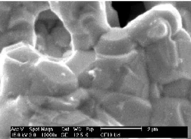 Gambar 10. Struktur mikro keramik CuFe 2 O 4 disinter pada suhu 1100 o C selama          1 Jam di udara.