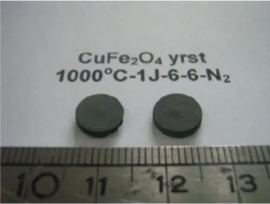 Gambar 4  Bentuk visual pelet CuFe 2 O 4 dengan Fe 2 O 3 dari yarosit disinter pada    suhu 1000 o C selama 1 Jam di dalam gas N 2 .