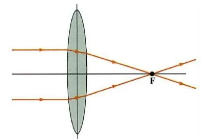 Gambar 2.2 Berbagai jenis bentuk lensa. (a) Bikonveks, konveks-konkaf, plankonveks. (b) Bikonkaf, konkaf-konveks, plankonkaf (Serway & Jewett, 2004) Lensa cembung memiliki ciri bagian tengahnya lebih tebal dibandingkan  