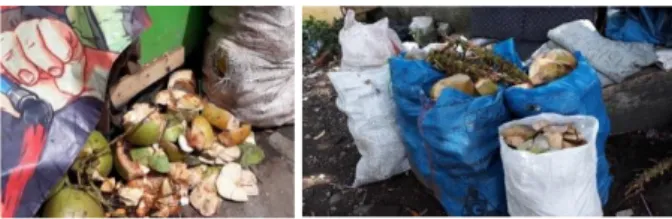 Gambar 1 Sampah Kelapa Yang Belum Di Bereskan dan Yang Sudah Di Masukan Kedalam Karung   (Sumber: Dokumentasi Penulis, 2018)  