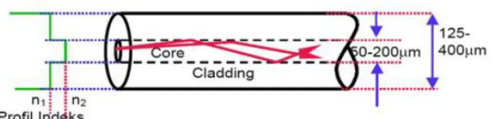 Gambar 5:  Jenis fiber optik Multimode (Crisp dan Elliot, 2008: 74)  Menurut  Thomas  Sri  Widodo  (1992:  2)  fiber  optik  mempunyai  beberapa  keunggulan  dibandingkan  dengan  medium  transmisi  yang  lain,  yaitu:  mempunyai  lebar  pita  (bandwidth) 