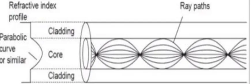 Gambar 5. Perambatan cahaya pada serat optik graded-  index multimode (Josef Jasenek, 2006) 