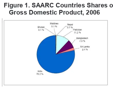 Figure 1. SAARC Countries Shares of 