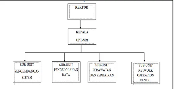Gambar 2.1 Struktur Oganisasi UPT-SIM Universitas Bina Darma 