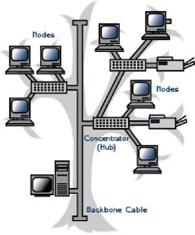 Gambar 2.10  Topologi Hybrid