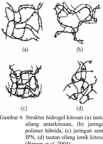 Gambar 6  Struktur hidrogel kitosan (a) tautan 