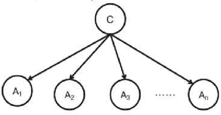 Gambar 2.1. Struktur Naïve Bayes Classifier 