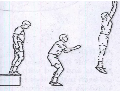 Gambar 2.3 Contoh gerakan latihan depth jump (Donald A. Chu, 1992:49). 