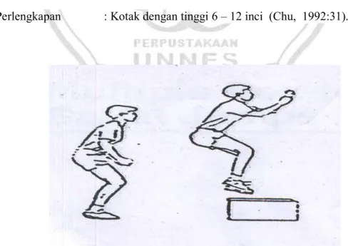 Gambar 2.4 Contoh gerakan latihan jump to box (Donald A. Chu, 1992:48). 