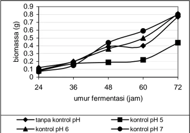 Tabel 1. Konsumsi glukosa oleh R. oryzae selama  fermentasi pada medium perlakuan tanpa kontrol pH,  dengan kontrol pH 5, dengan kontrol pH 6, dan  dengan kontrol pH 7
