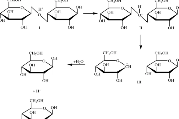 Gambar 2. Proses Hidrolisis Selulosa (Arianie dan Idiawati, 2011)  2.4  Metode Luff Schoorl 