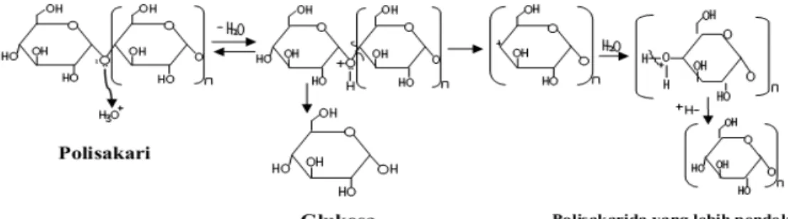 Gambar 2.5 Mekanisme Reaksi Hidrolisis Karbohidrat [24] 