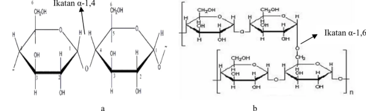 Gambar 1. Struktur kimia (a) amilosa (b) amilopektin 