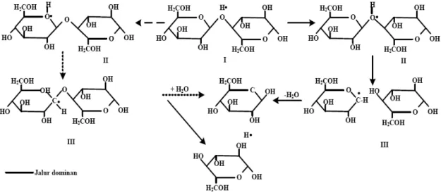 Gambar 2.3.1.2.2.Mekanisme hidrolisa selulosa 