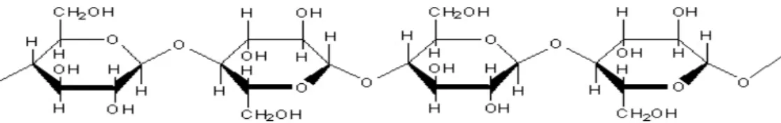 Gambar 2.3. Struktur Molekul Selulosa 