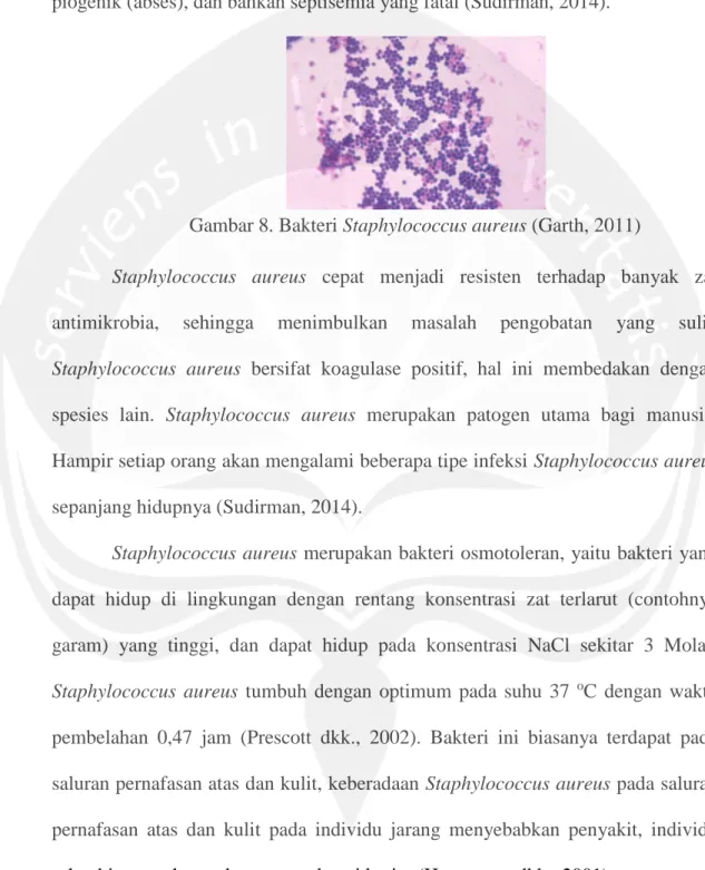 Gambar 8. Bakteri Staphylococcus aureus (Garth, 2011) 