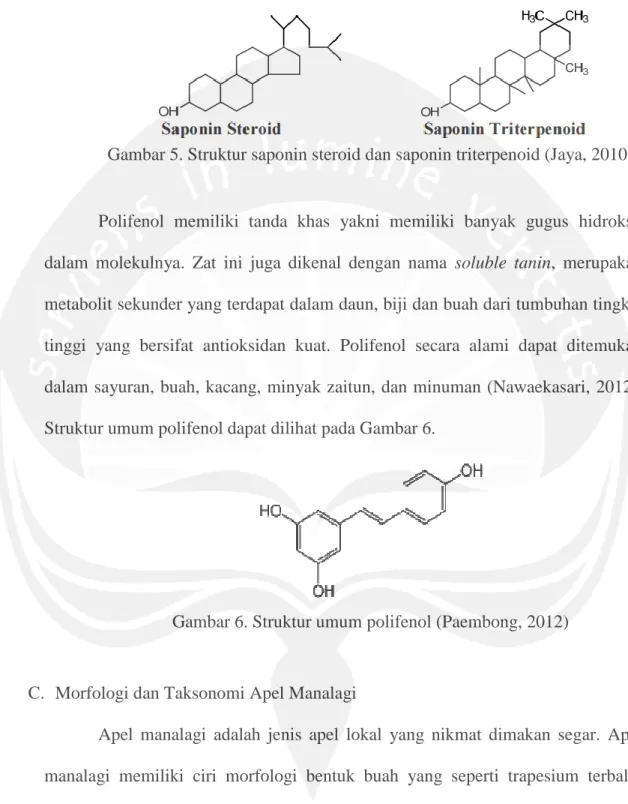 Gambar 5. Struktur saponin steroid dan saponin triterpenoid (Jaya, 2010) 