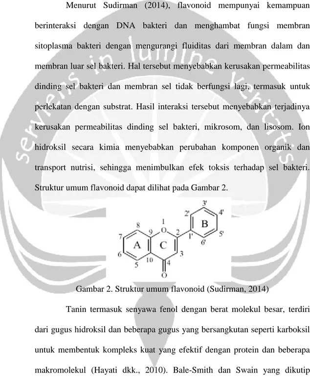 Gambar 2. Struktur umum flavonoid (Sudirman, 2014) 