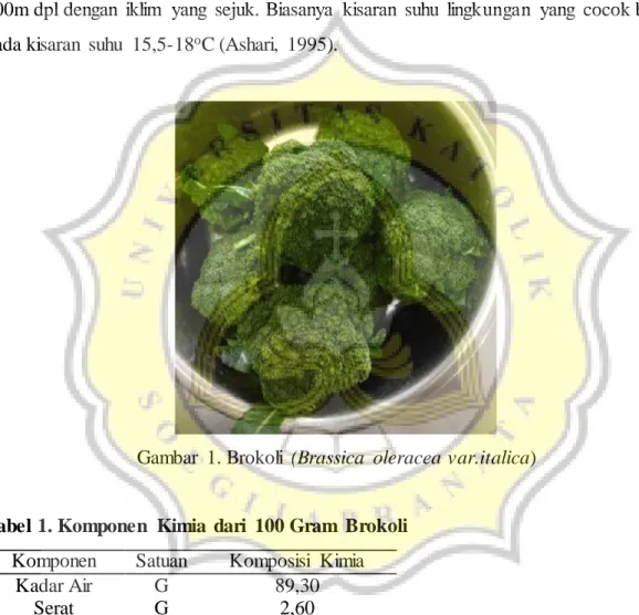 Gambar  1. Brokoli  (Brassica  oleracea var.italica) 