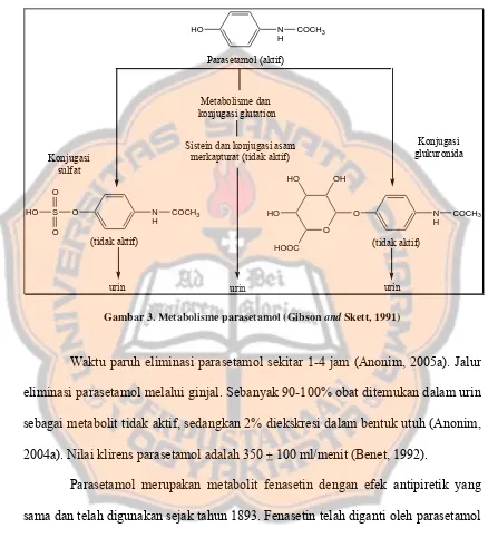Gambar 3. Metabolisme parasetamol (Gibson and Skett, 1991) 