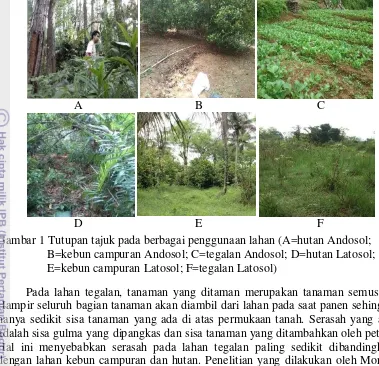 Gambar 1 Tutupan tajuk pada berbagai penggunaan lahan (A=hutan Andosol; 