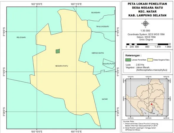 Gambar 1. Peta lokasi penelitian di Desa Negara Ratu II Kecamatan Natar Kabupaten Lampung Selatan