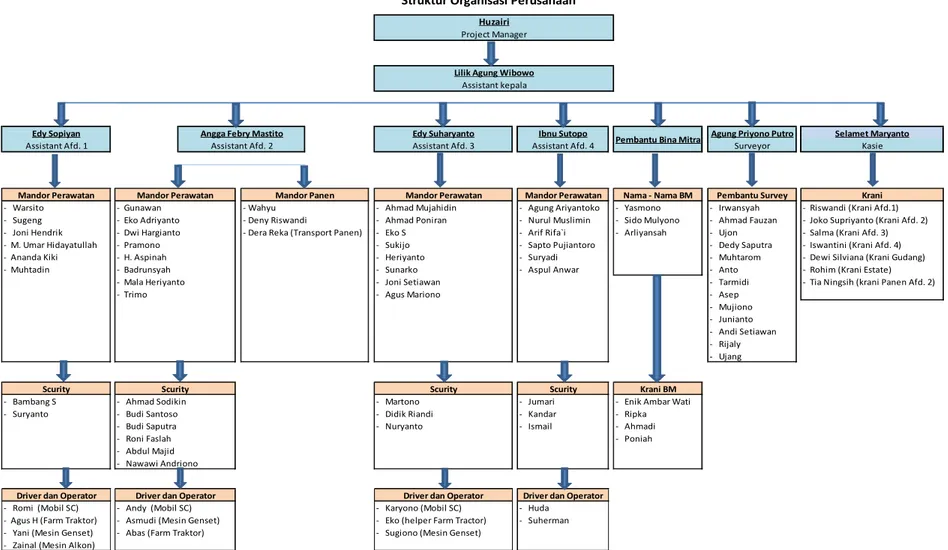 Gambar 1. Struktur organisasi PT. Sawit Khatulistiwa Plantation. 