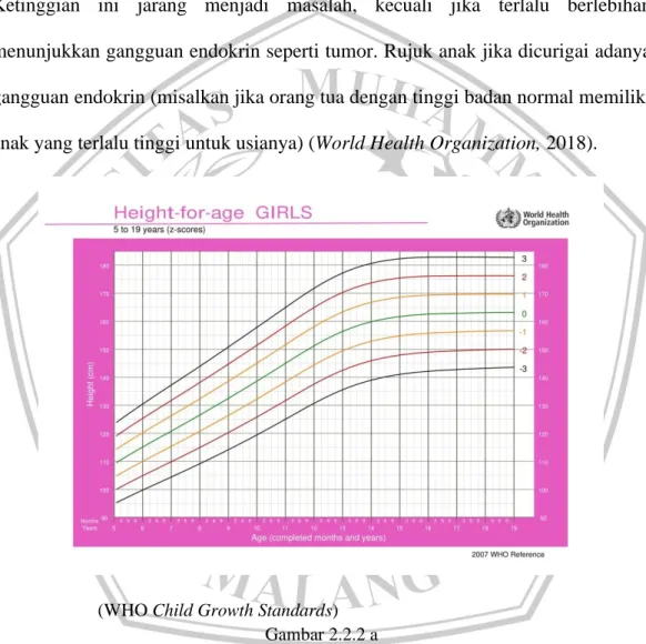 Grafik Pertumbuhan WHO (TB/U) 