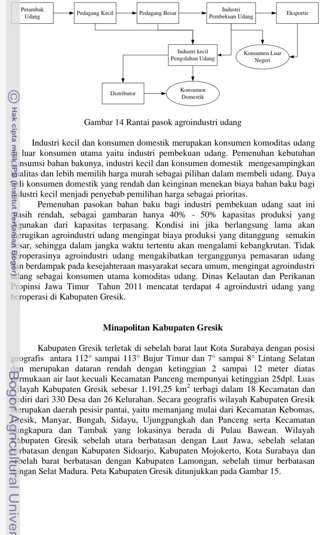 Gambar 14 Rantai pasok agroindustri udang 