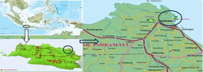 Gambar 1 Peta Desa Karangsong-Kabupaten Indramayu, Jawa Barat, Indonesia (insert). 