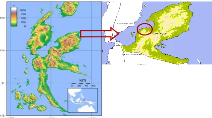 Gambar 2  Diskusi  dengan  pelaku  usaha  ikan  teri  di  Desa Saramaake, Halmahera Timur