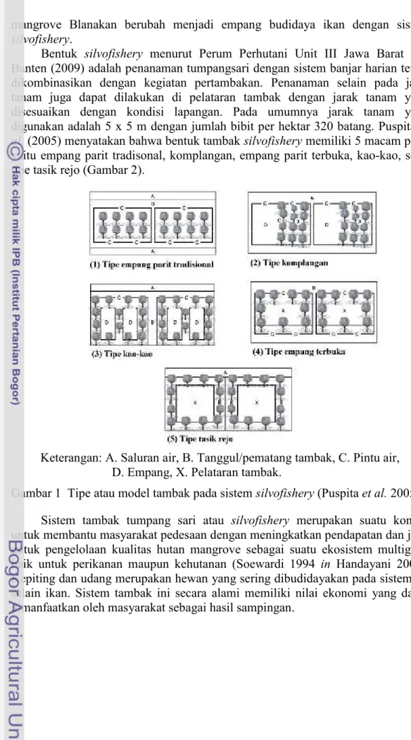 Gambar 1 Tipe atau model tambak pada sistem silvofishery (Puspita et al. 2005).