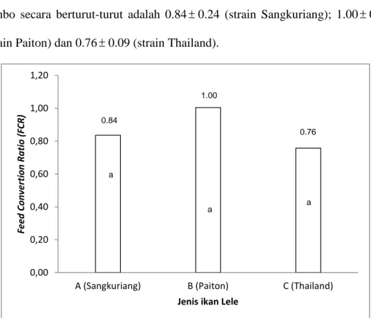 Gambar 11. Histogram Feed Convertion Ratio (FCR) Strain Benih Ikan Lele  Dumbo 