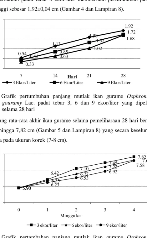 Gambar  4.  Grafik  pertumbuhan  panjang  mutlak  ikan  gurame  Osphronemus  gouramy  Lac